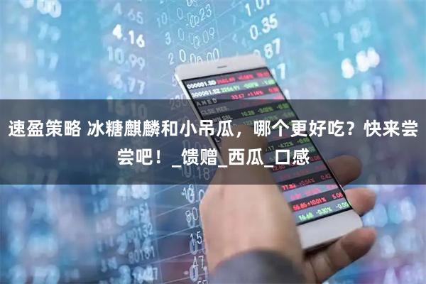 速盈策略 冰糖麒麟和小吊瓜,哪个更好吃?快来尝尝吧!_馈赠_西瓜_口感