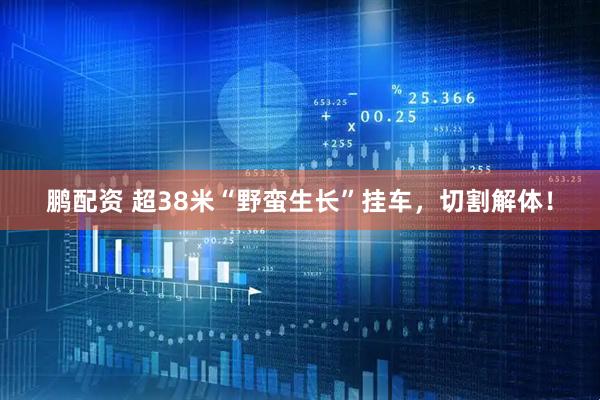 鹏配资 超38米“野蛮生长”挂车，切割解体！